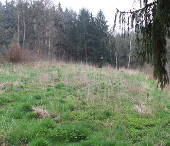 N1145(01) N1145(01)